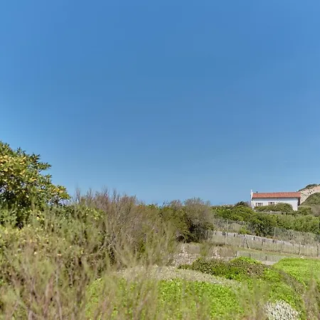 L'arche בידאר