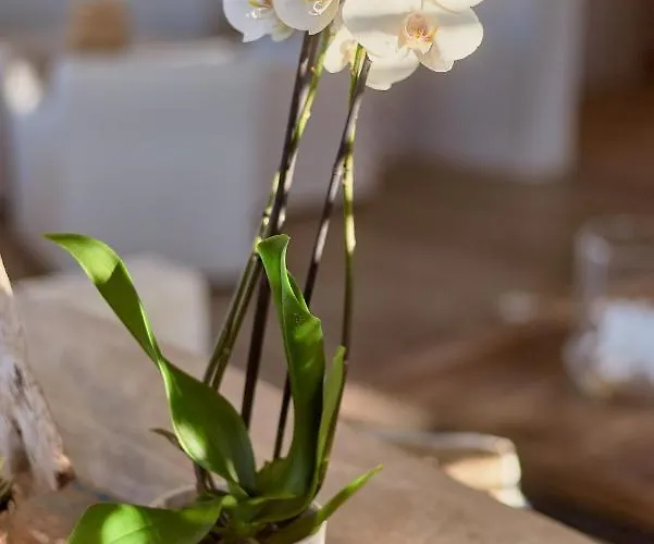 L'arche Ξενοδοχείο